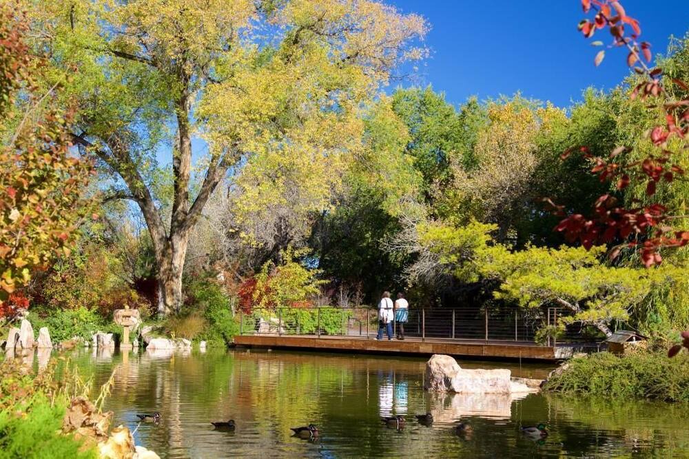 Photo of Others in Albuquerque