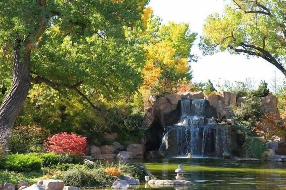 Photo of Others in Albuquerque