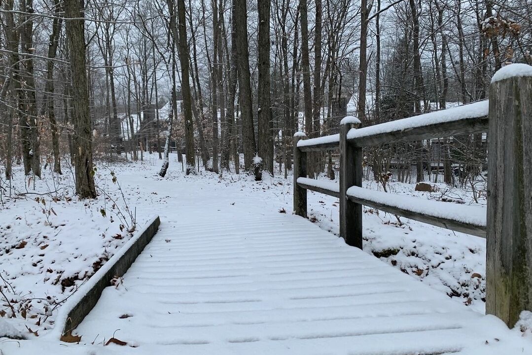 Photo of Others in White Haven