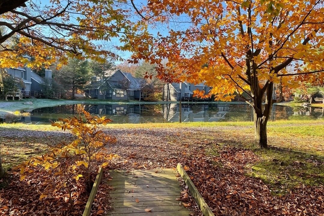 Photo of Outdoor in White Haven