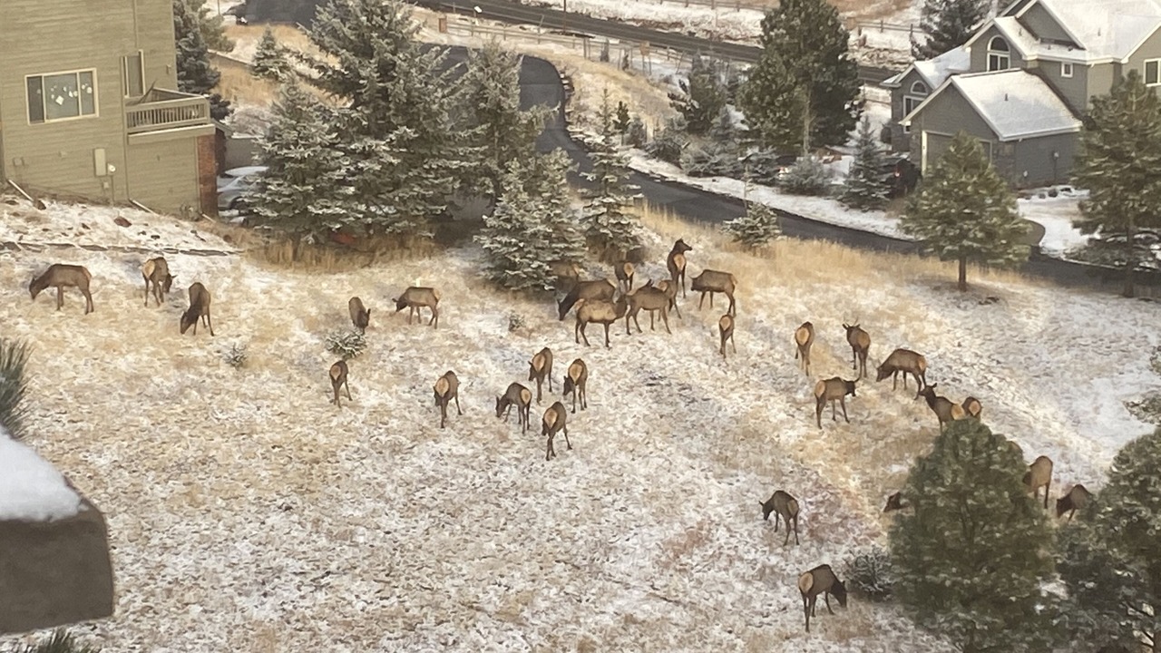Photo of Outdoor in Golden