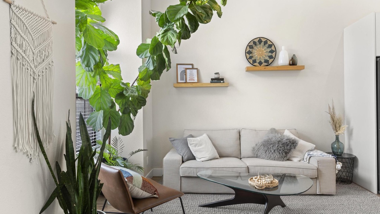 Photo of Livingroom in South Westminster
