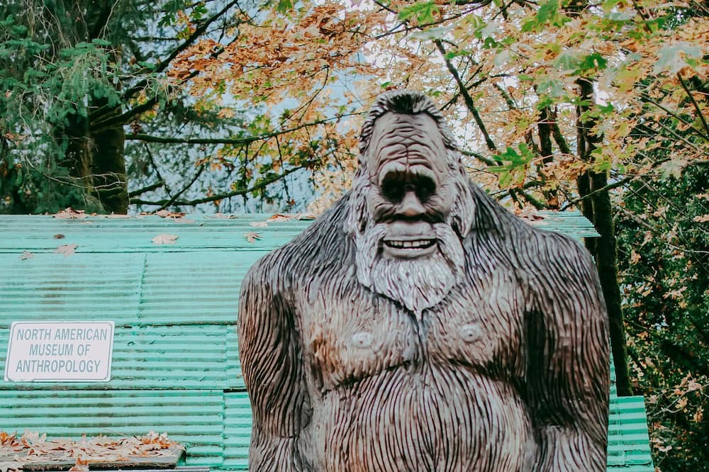 Photo of Outdoor in Gold Bar