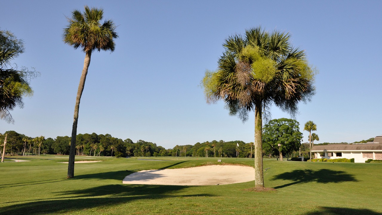 Photo of Others in Hilton Head Island