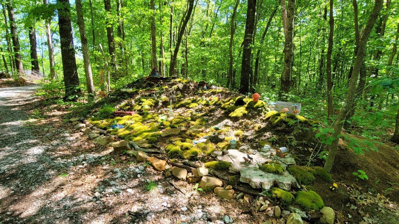 Photo of Outdoor in Beersheba Springs