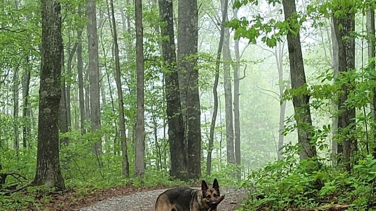 Photo of Outdoor in Beersheba Springs
