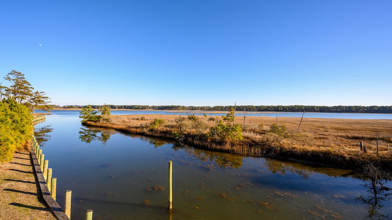 Photo of Others in Piney Island