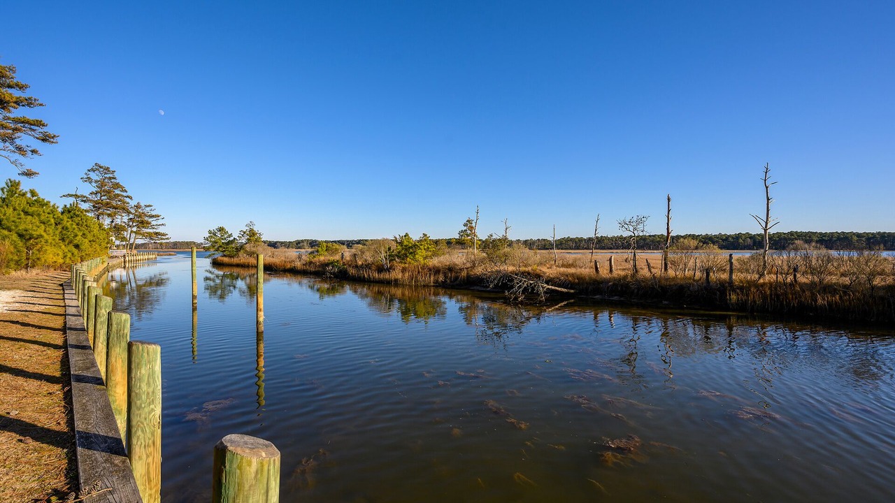 Photo of Outdoor in Piney Island