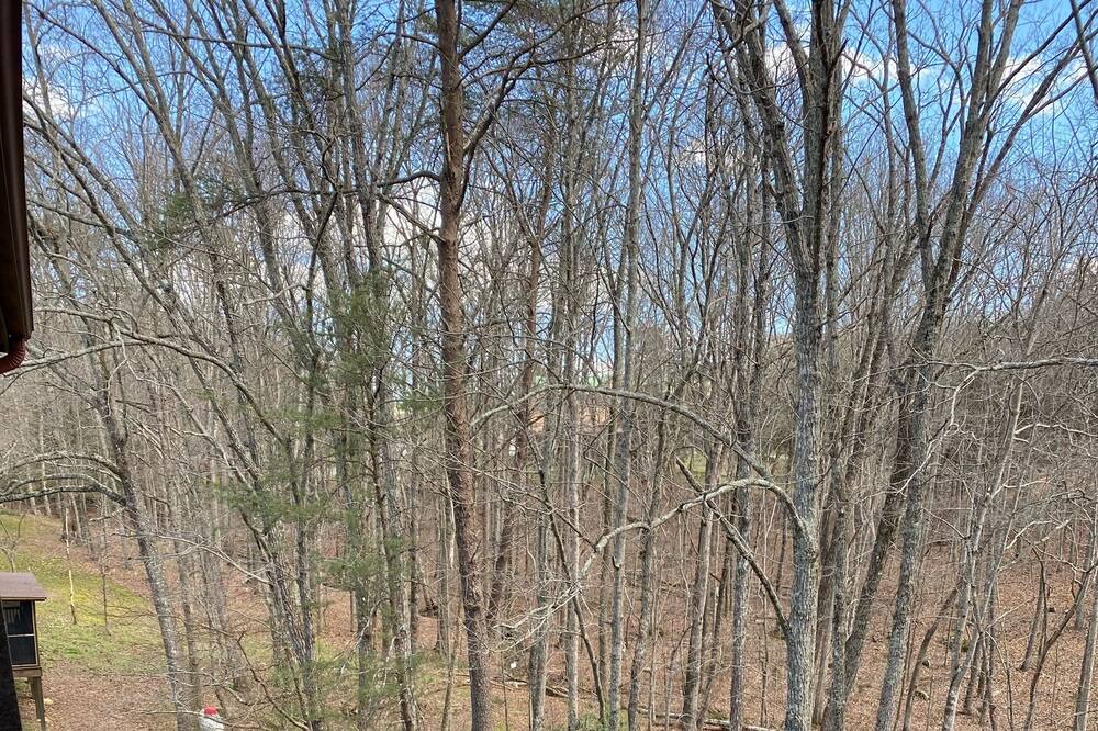 Photo of Others in Spencer