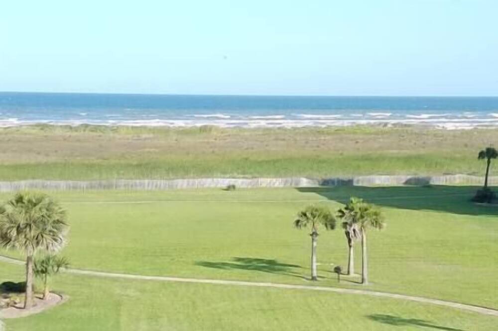 Photo of Others in Red Fish Cove