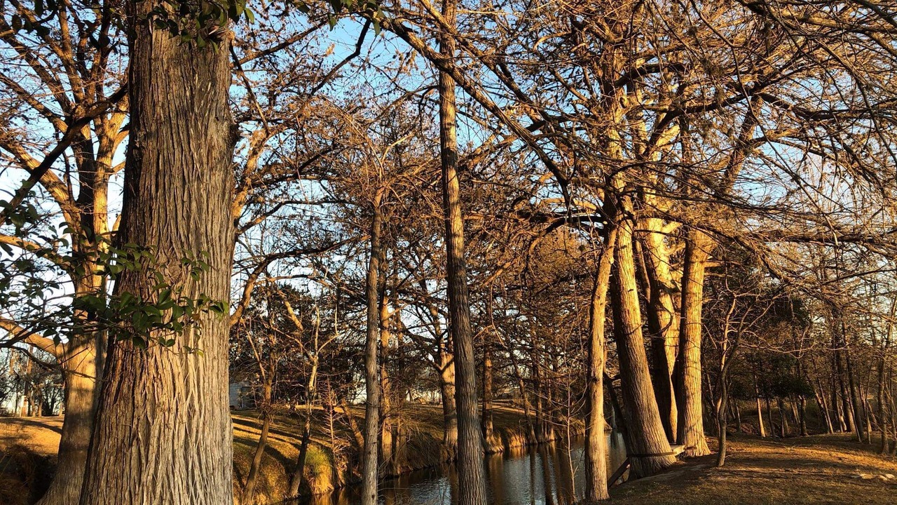 Photo of Outdoor in Utopia