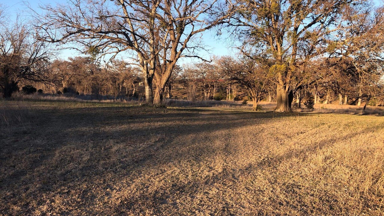 Photo of Outdoor in Utopia
