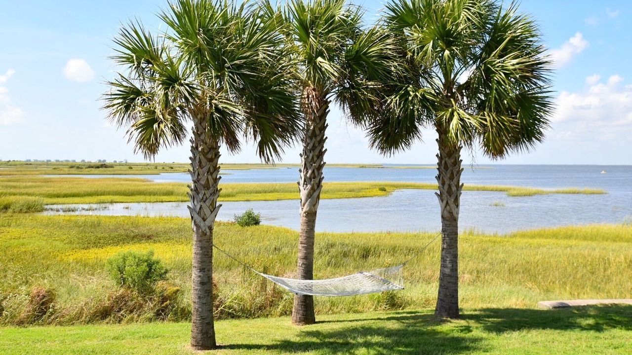 Photo of Outdoor in Galveston