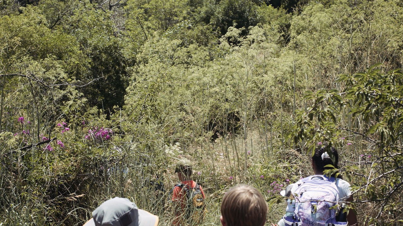 Photo of Outdoor in Central Boulder