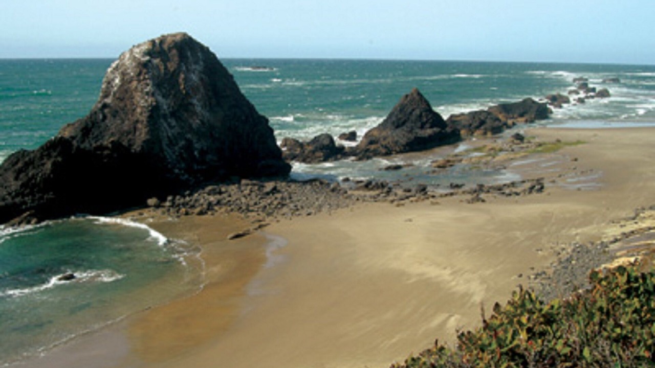 Photo of Others in Agate Beach