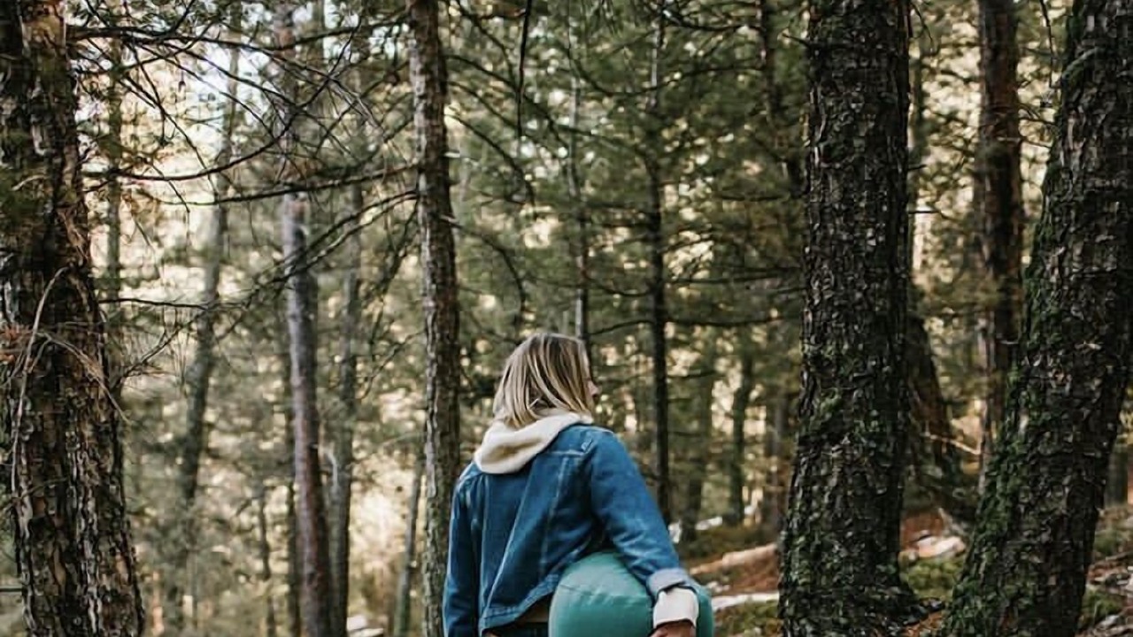 Photo of Outdoor in North Central Evergreen