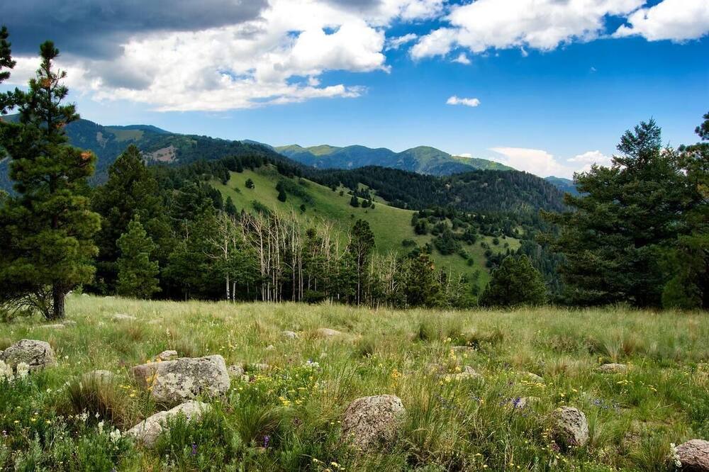 Photo of Others in Ruidoso