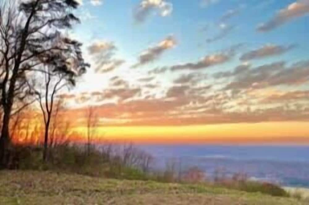 Photo of Others in Mentone