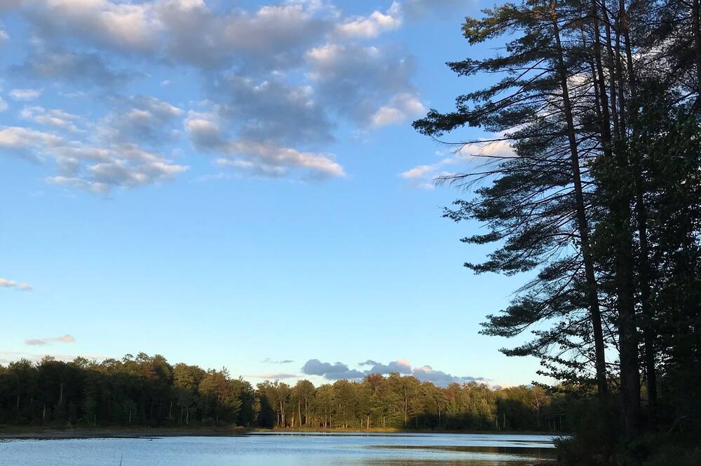 Photo of Others in Forestport
