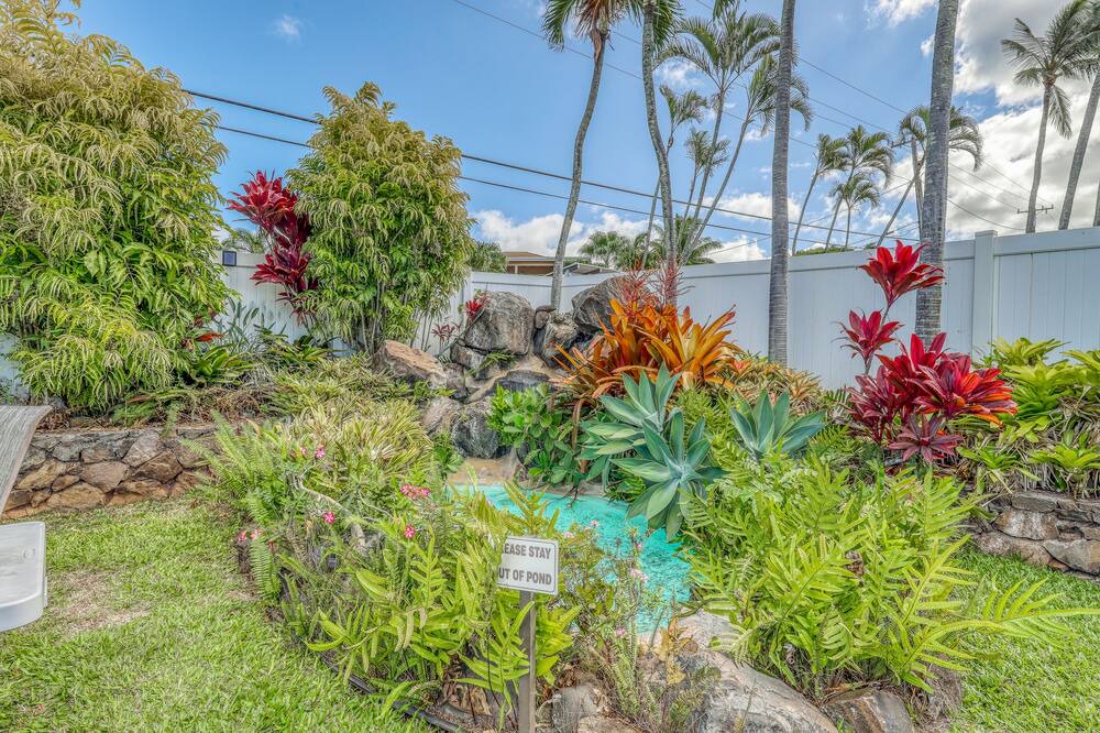 Photo of Others in Napili