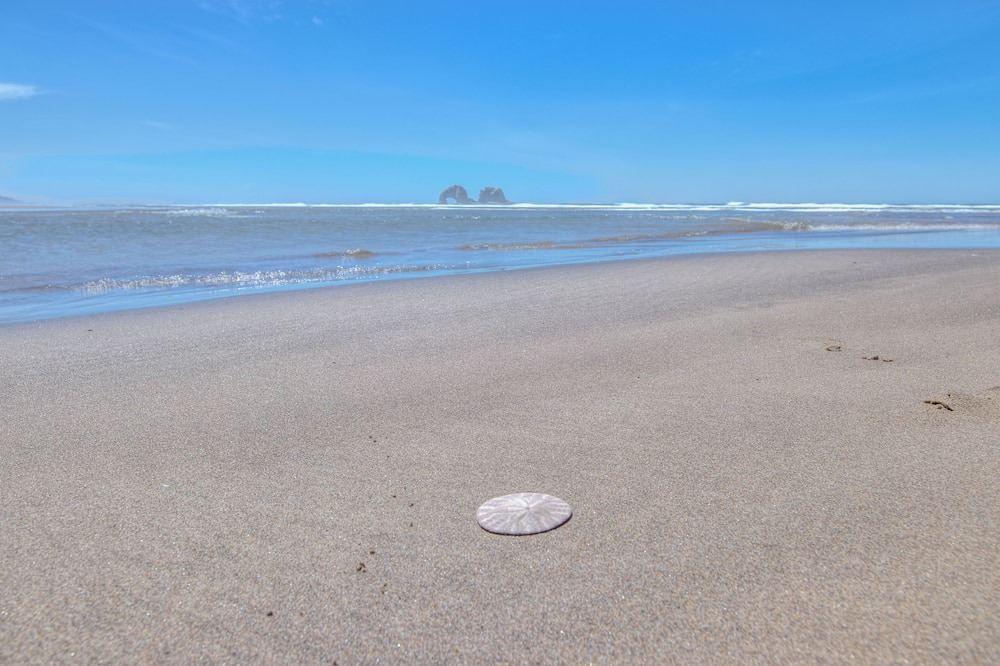Photo of Outdoor in Rockaway Beach