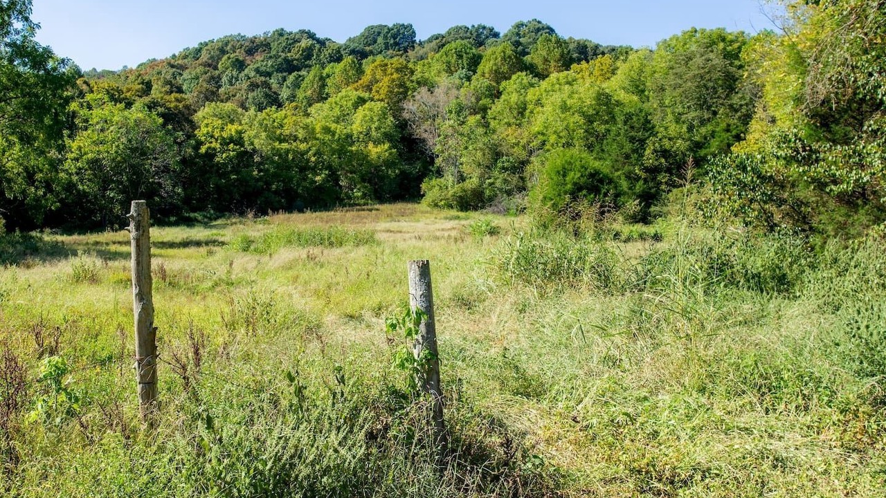 Photo of Outdoor in Whites Creek