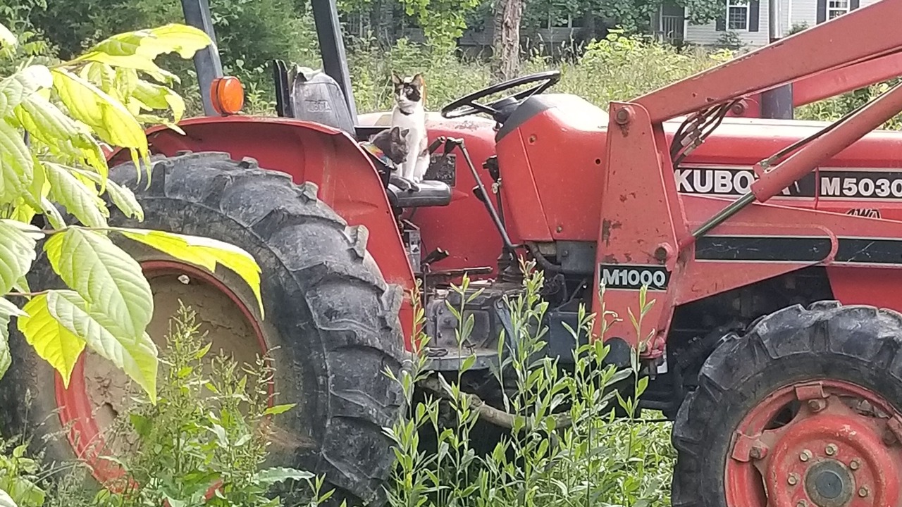 Photo of Outdoor in Whites Creek
