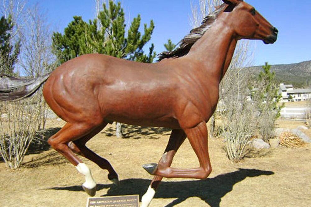 Photo of Others in Ruidoso Downs