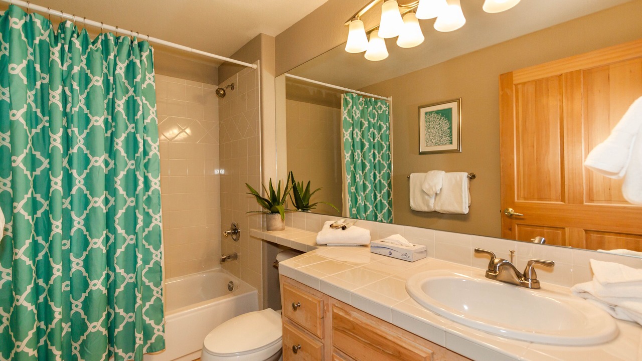 Photo of Bathroom in Mountain House