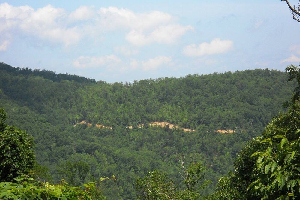 Photo of Others in Chalet Village