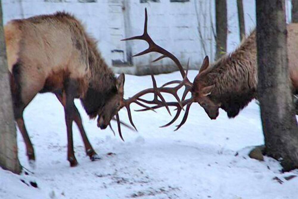 Photo of Others in Treasure Lake
