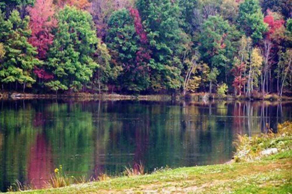 Photo of Others in Treasure Lake