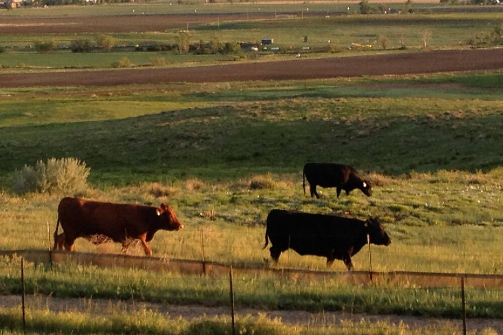 Photo of Outdoor in Broomfield