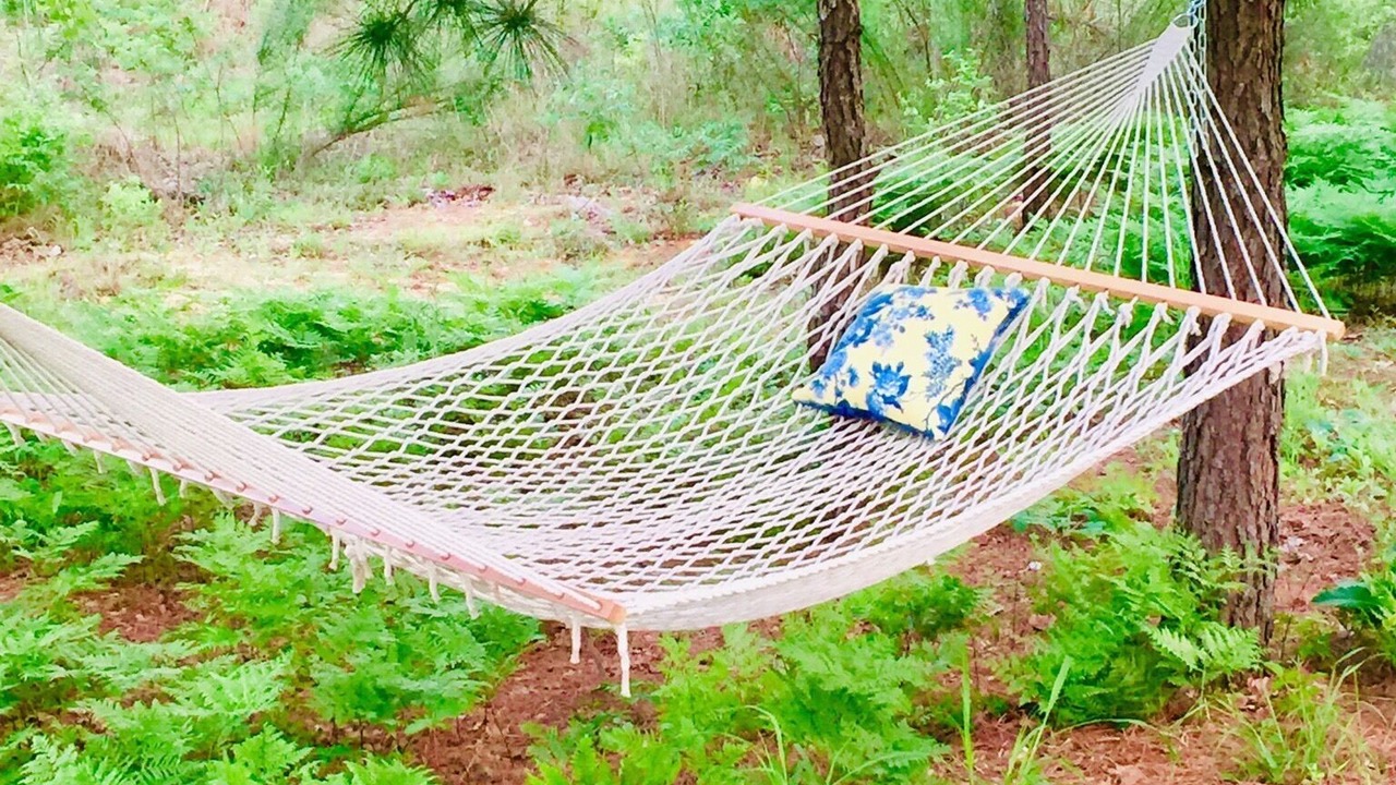 Photo of Outdoor in Circle D-KC Estates
