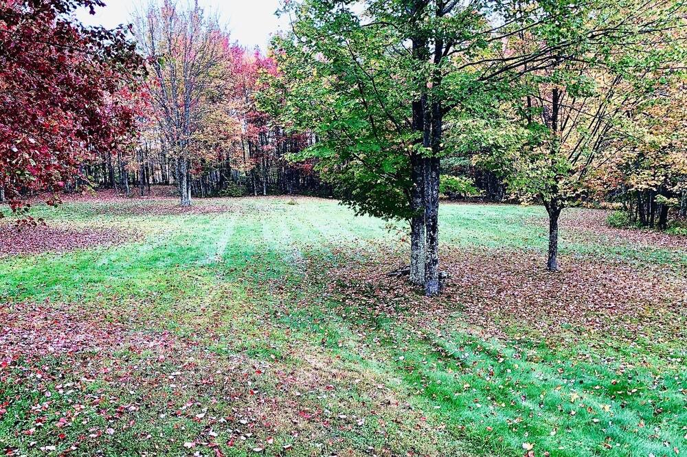 Photo of Outdoor in Fleischmanns