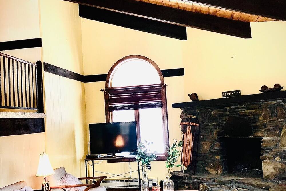 Photo of Livingroom in Fleischmanns