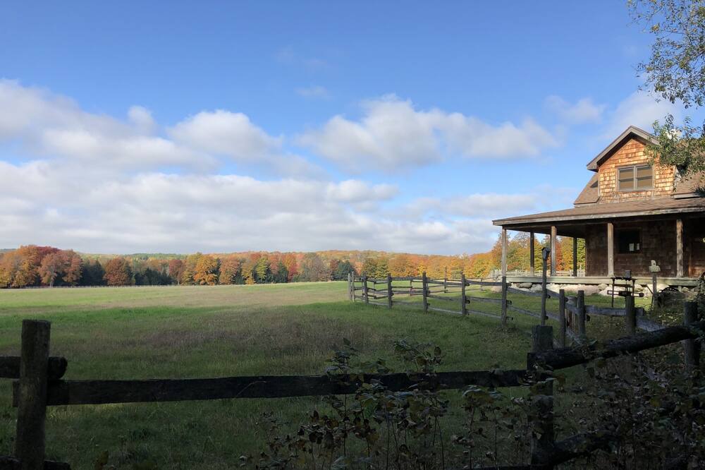 Photo of Outdoor in Maple City
