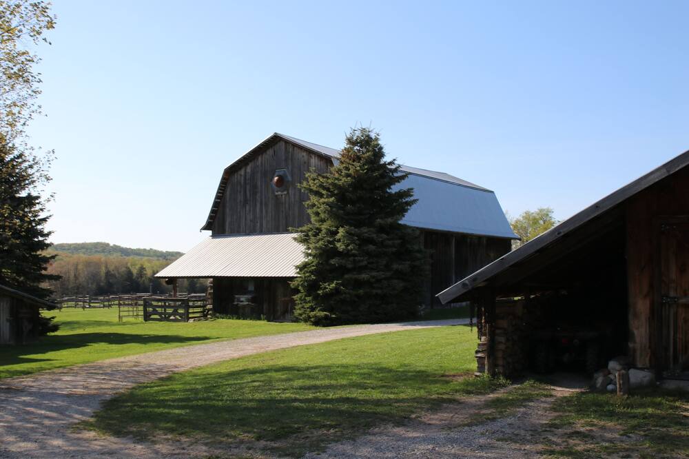 Photo of Outdoor in Maple City