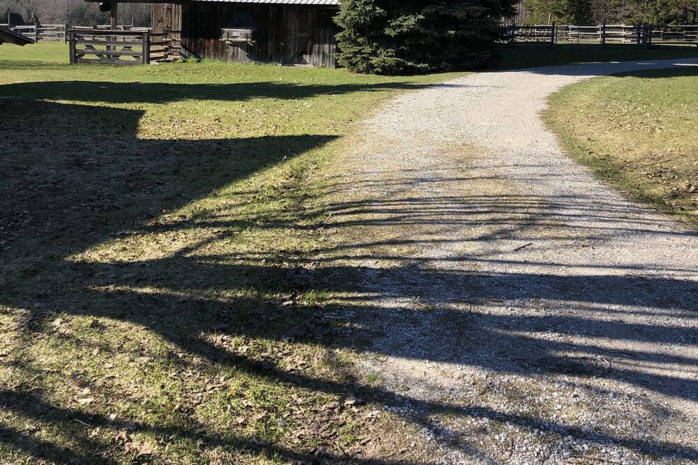 Photo of Outdoor in Maple City