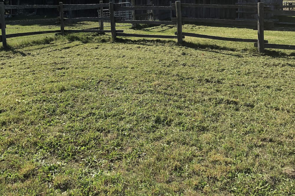 Photo of Outdoor in Maple City