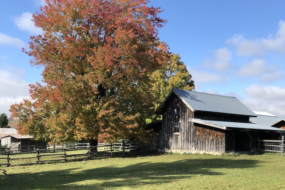Photo of Outdoor in Maple City