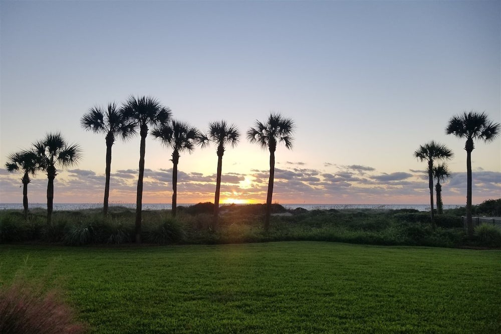 Photo of Outdoor in Amelia City