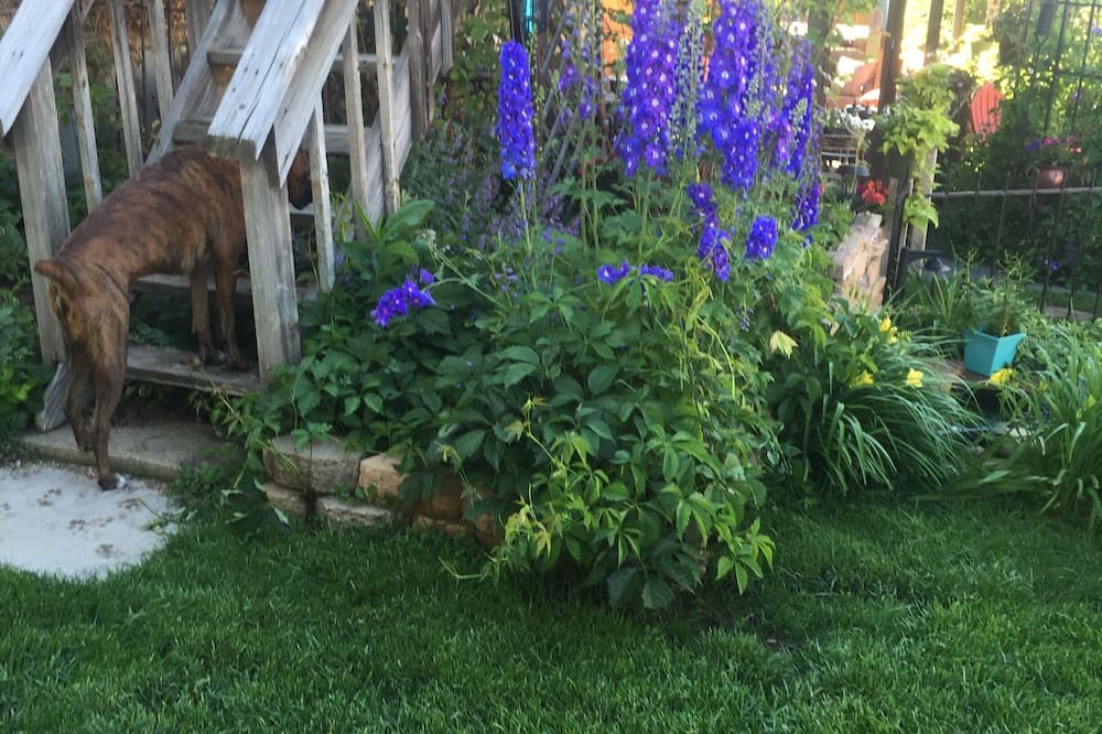 Photo of Outdoor in North Central Westminster