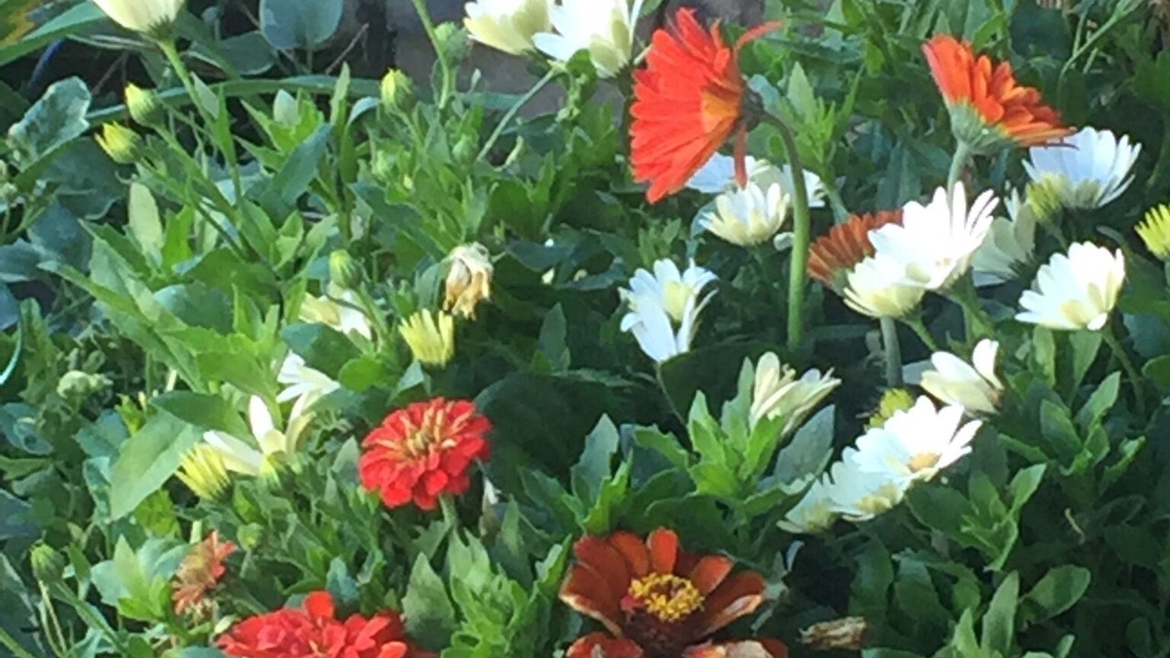 Photo of Outdoor in North Central Westminster