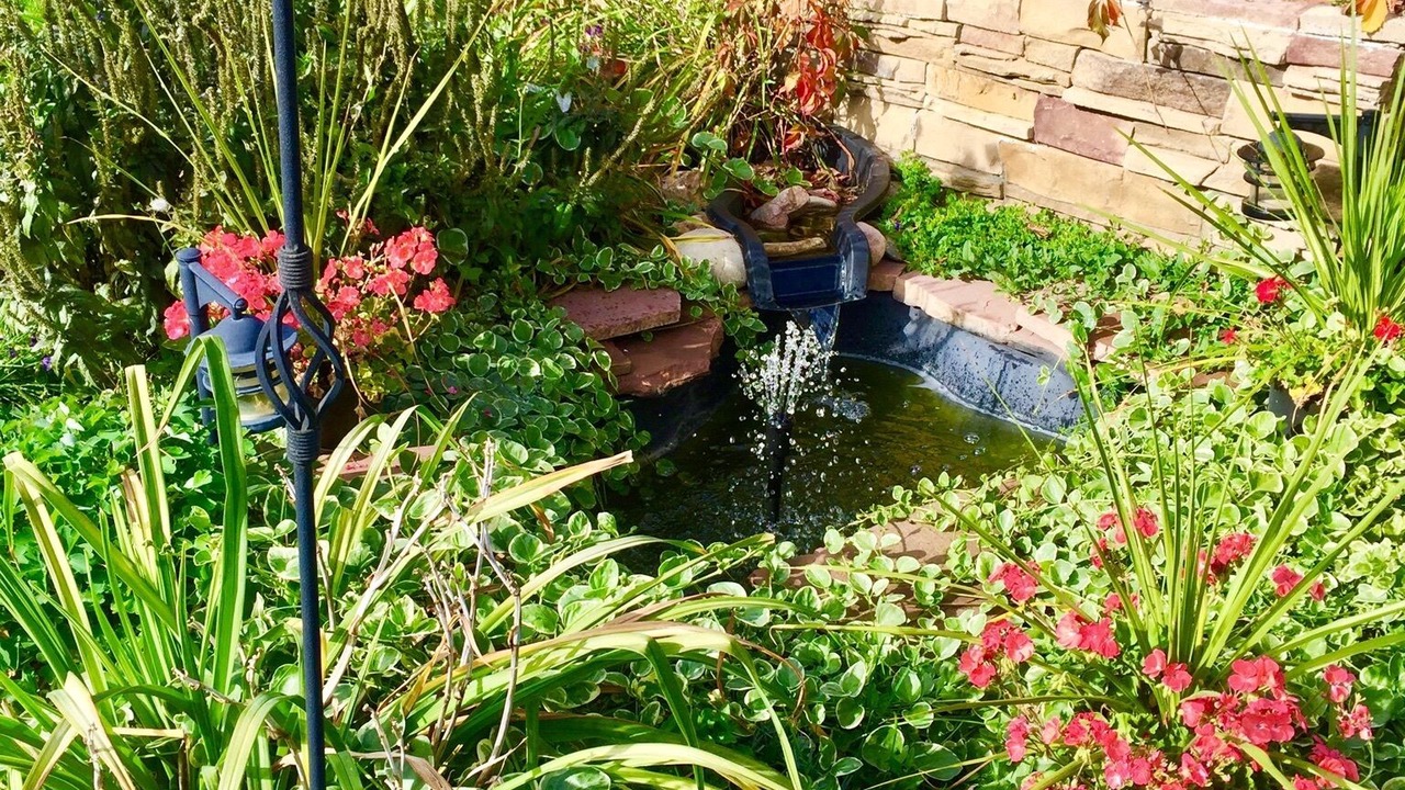 Photo of Outdoor in North Central Westminster