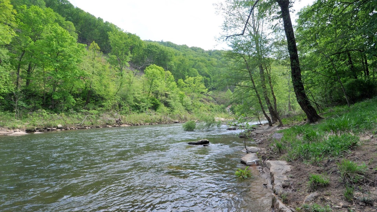 Photo of Others in Great Cacapon