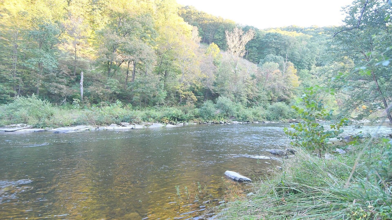Photo of Others in Great Cacapon