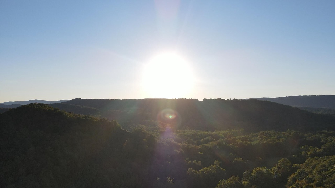 Photo of Others in Great Cacapon