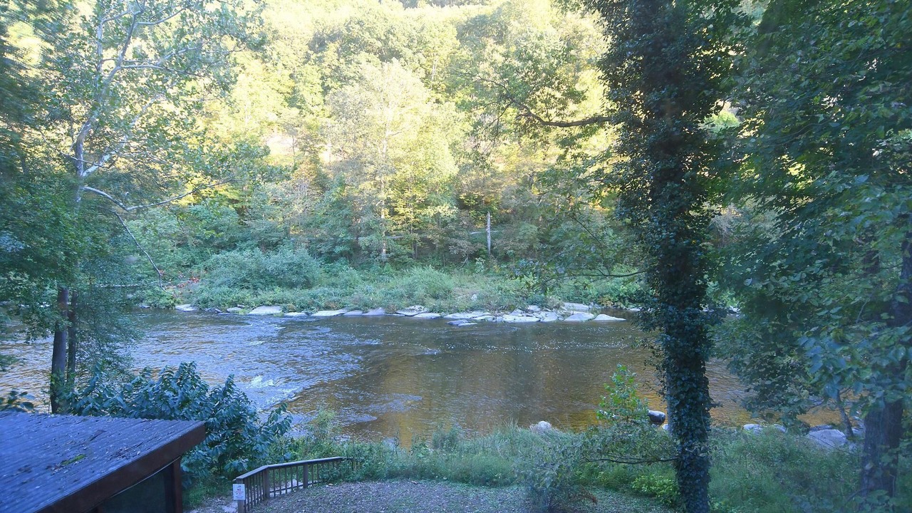 Photo of Others in Great Cacapon