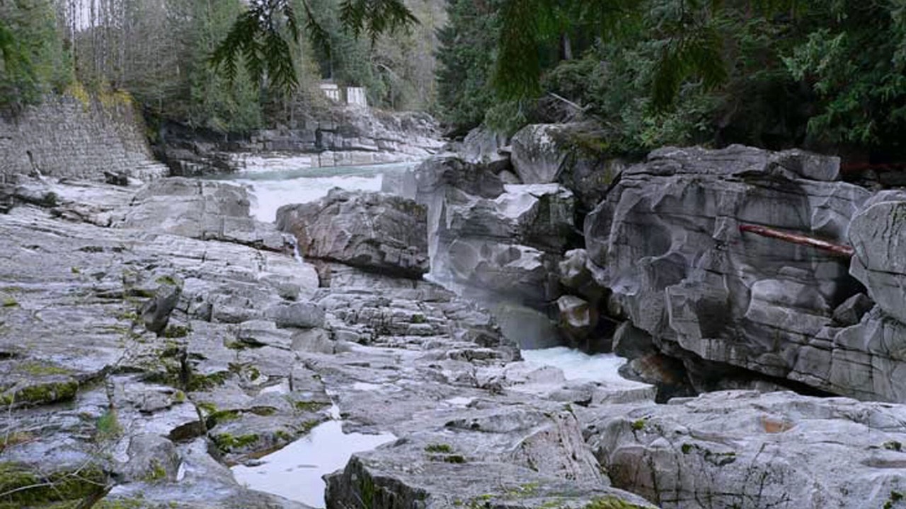Photo of Outdoor in Gold Bar